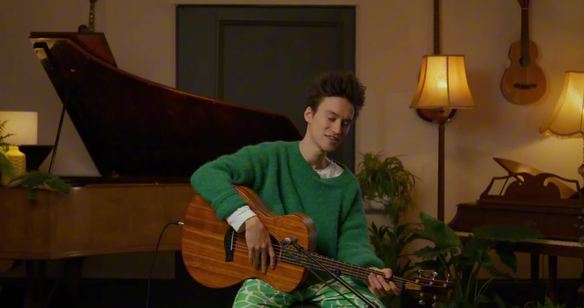  Jacob Collier x Taylor Guitars